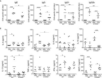 S100A4 Is Critical for a Mouse Model of Allergic Asthma by Impacting Mast Cell Activation